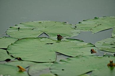 世上最强的袋鼠拳击手回归全平台！《袋鼠闯天关》5月27日重拳出击